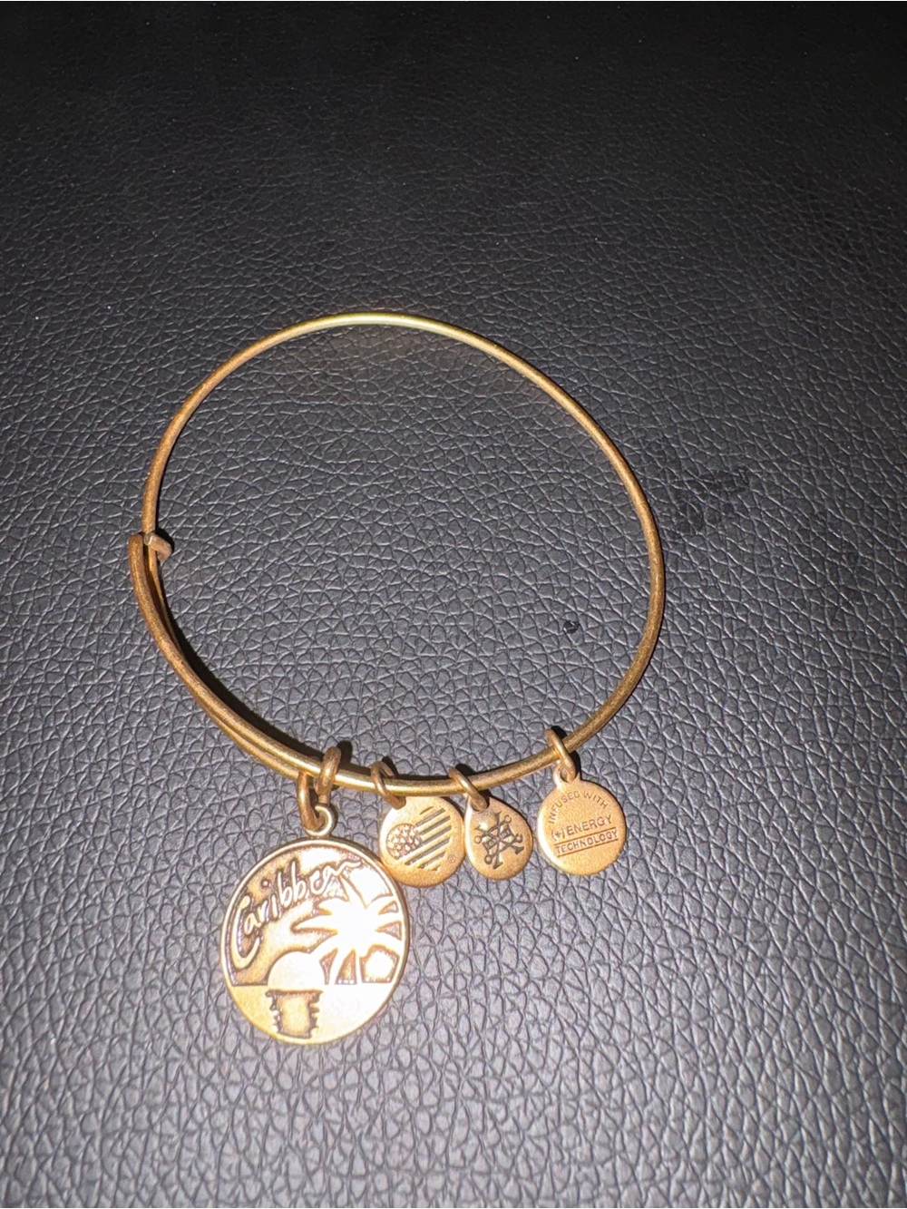 Alex and Ani Gold-Tone Charm Bangle Bracelet with Caribbean Palm Charm